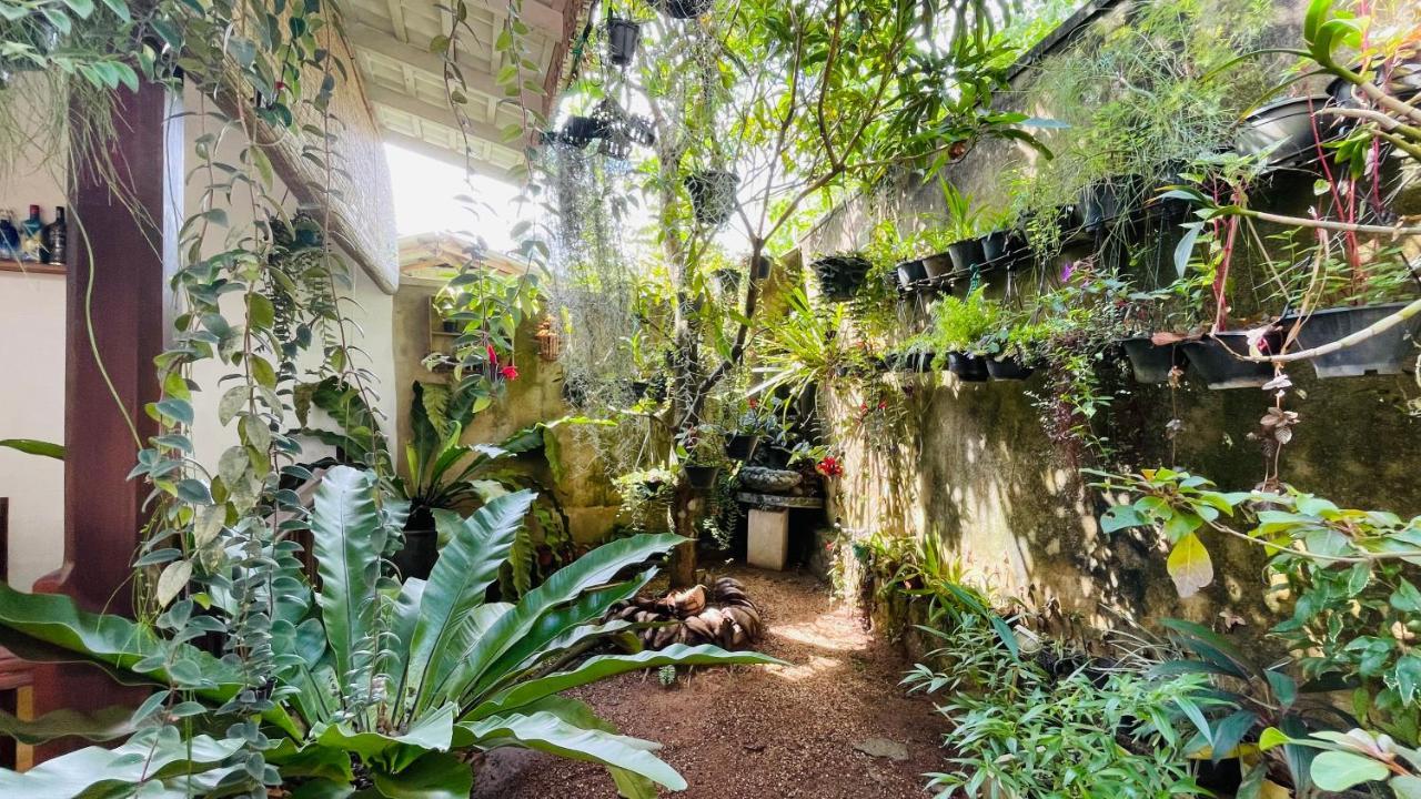 אונה ואטונה Bouganvilla House מראה חיצוני תמונה