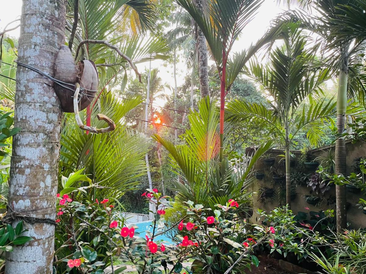 אונה ואטונה Bouganvilla House מראה חיצוני תמונה